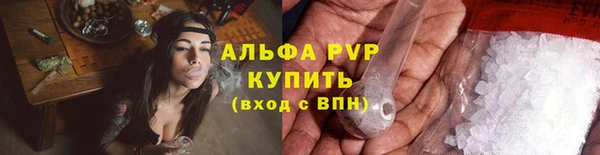 гидра Алексин