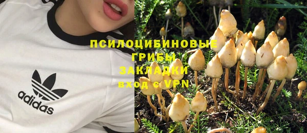 ПСИЛОЦИБИНОВЫЕ ГРИБЫ Алексеевка
