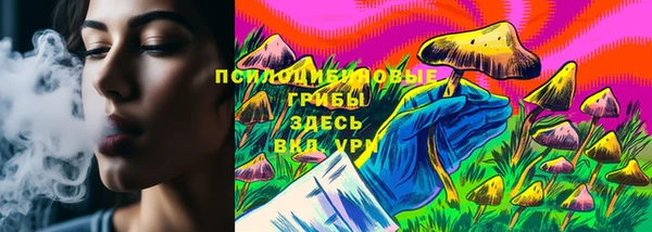 прущая мука Алзамай