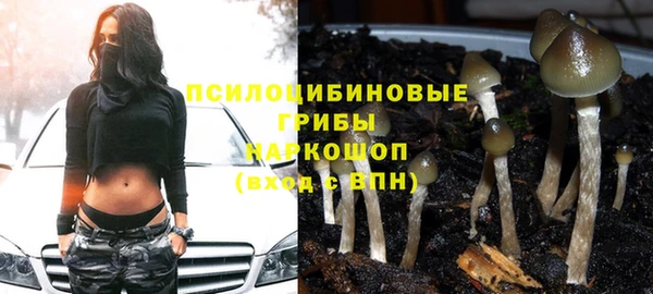 гидра Алексин