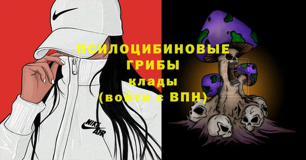 ПСИЛОЦИБИНОВЫЕ ГРИБЫ Алексеевка