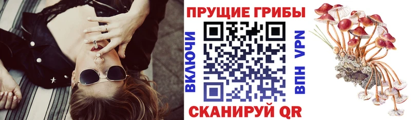 Галлюциногенные грибы GOLDEN TEACHER Соликамск